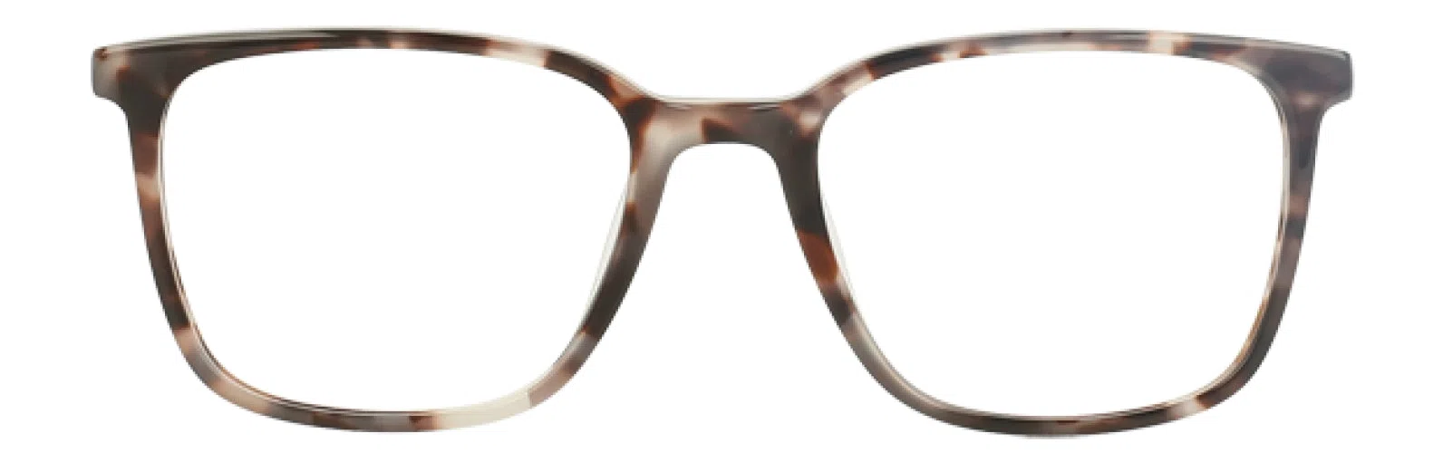 Vera Bradley VBMAISIE Eyeglasses - view 6